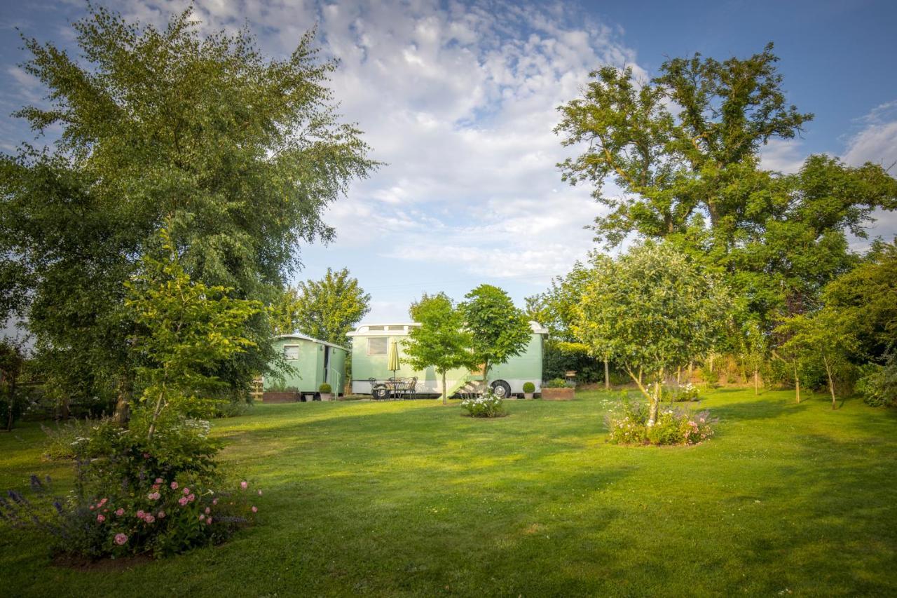 West Cottage, Southlands Farm, Gunnerton Hexham Exteriör bild